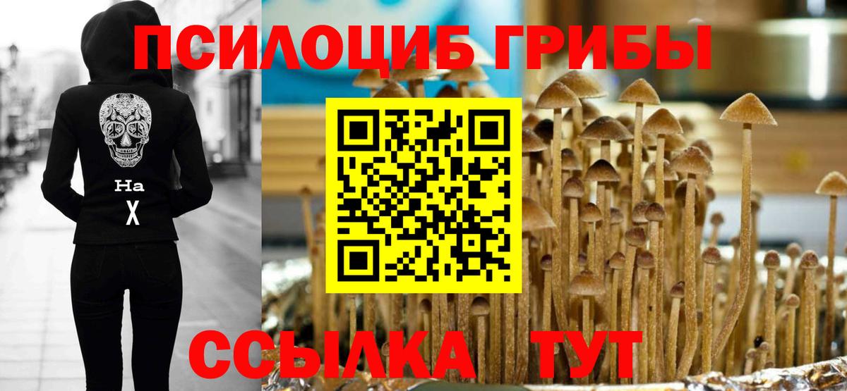 Псилоцибиновые грибы MAGIC MUSHROOMS Рыбинск