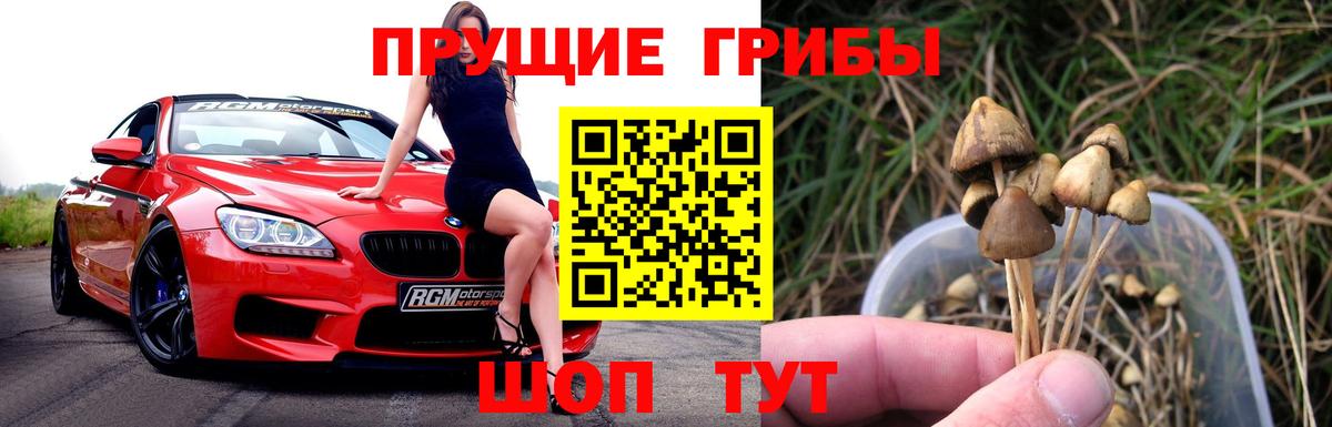 Галлюциногенные грибы прущие грибы  Вход с VPN  Рыбинск 